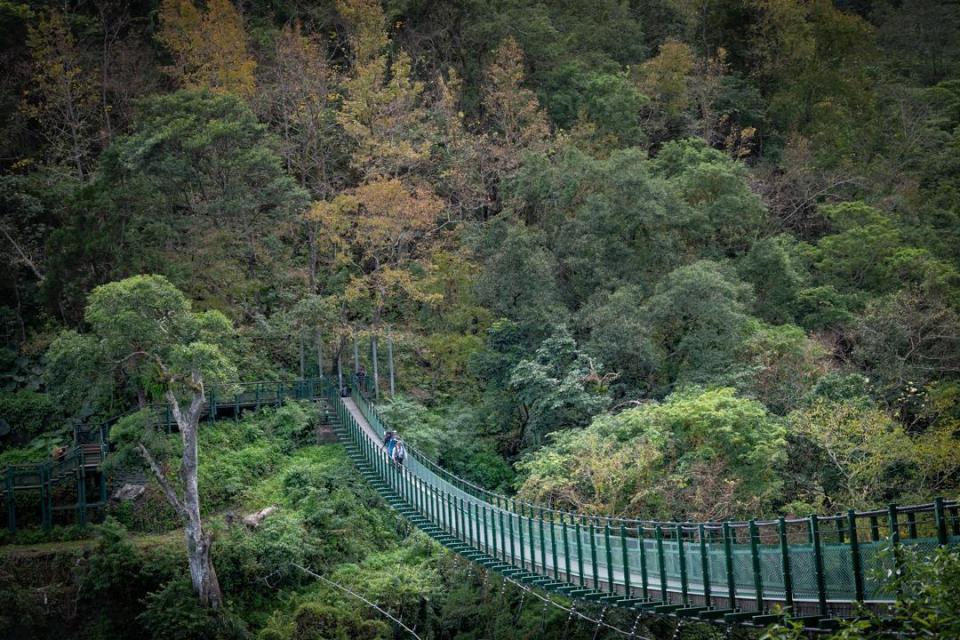 《極島森林》壓軸景點選在花蓮著名的瓦拉米步道。（LINE TV提供）