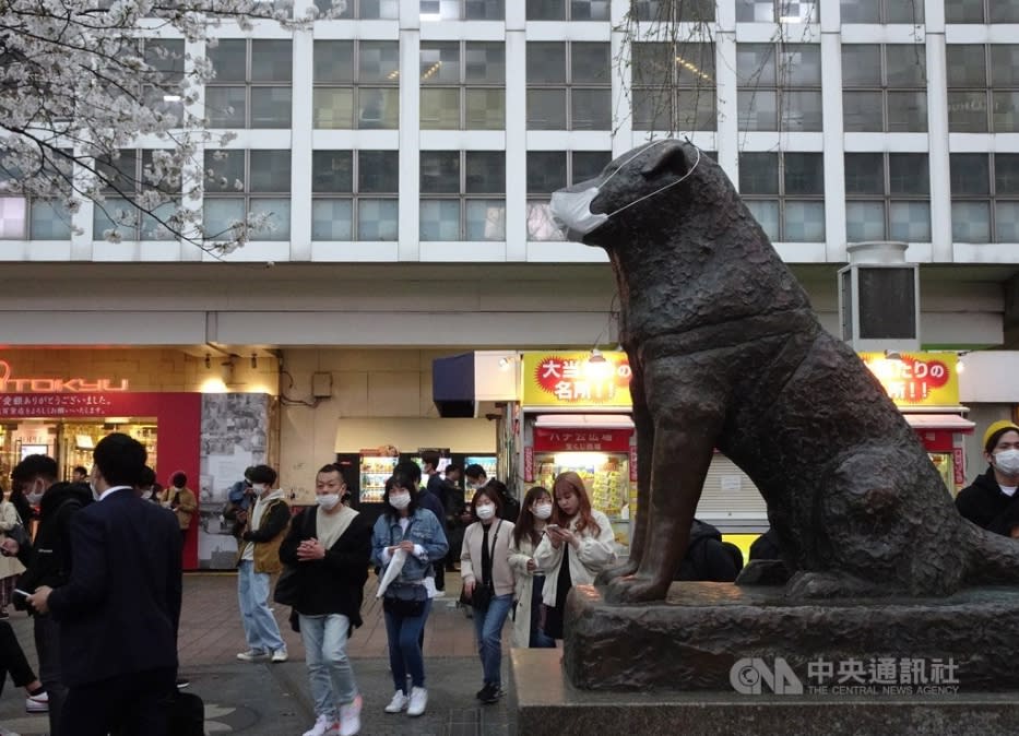 東京新冠肺炎疫情升溫。圖為鬧區澀谷知名十字路口多人戴口罩，就連知名的忠犬小八塑像也被戴上口罩。(資料照)