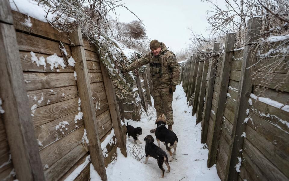 Fellow soldier Oleh plays with dogs in the snow-covered trench