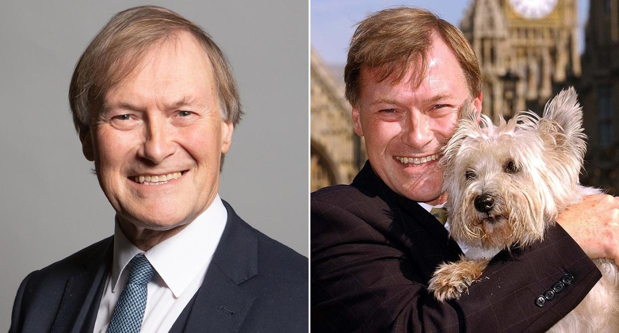 Sir David Amess who was stabbed during a meeting with constituents on Friday (Reuters/UK Parliament)