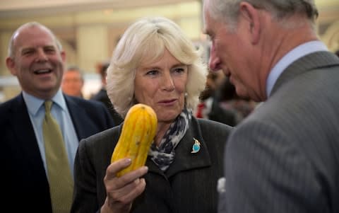 The Prince of Wales and Duchess of Cornwall admire vegetable produce at Alexandra Palace - Credit: Getty