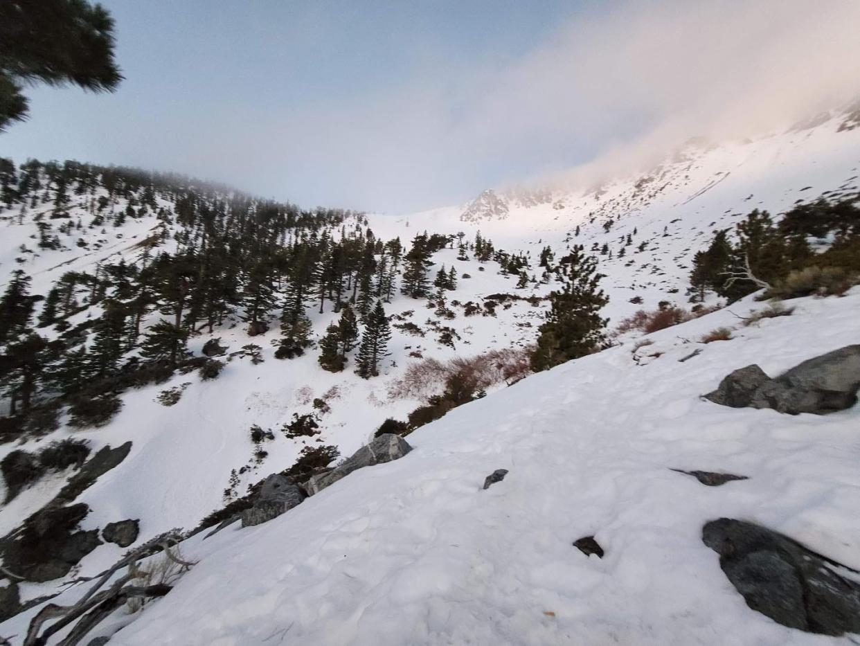 As the search for missing hiker and actor Julian Sands continued on Mt. Baldy, a sheriff’s aviation team in that area rescued Abdollah Katbab, 71, near Ice House Canyon in that area.