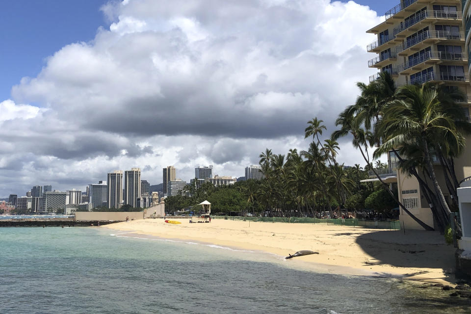 A Hawaiian monk seal and her pup that was born this past week are seen at lower right on Kaimana Beach in Honolulu, Thursday, April 20, 2023. Officials fenced off a large stretch of a popular Waikiki beach to protect the seal and her days-old pup. The unusual move highlights the challenges of protecting endangered species in a state that attracts millions of travelers every year. (AP Photo/Audrey McAvoy)