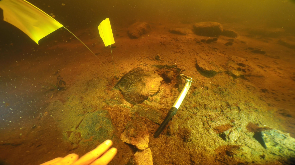 Pot on loch bed 