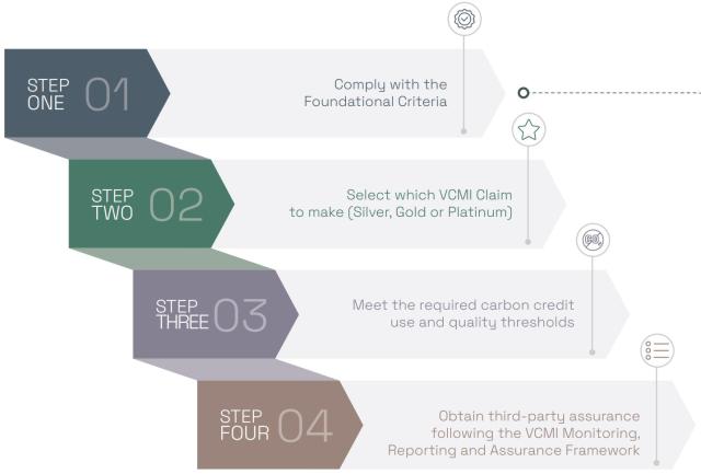 Voluntary carbon market body publishes rulebook for credible use of carbon  credits