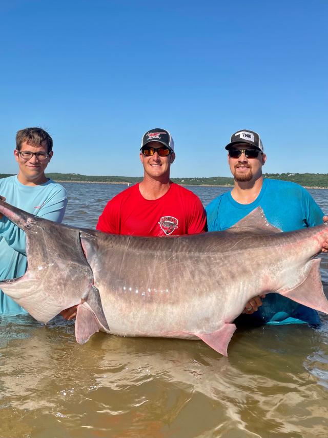 Missouri updates paddlefish regulations, Sports