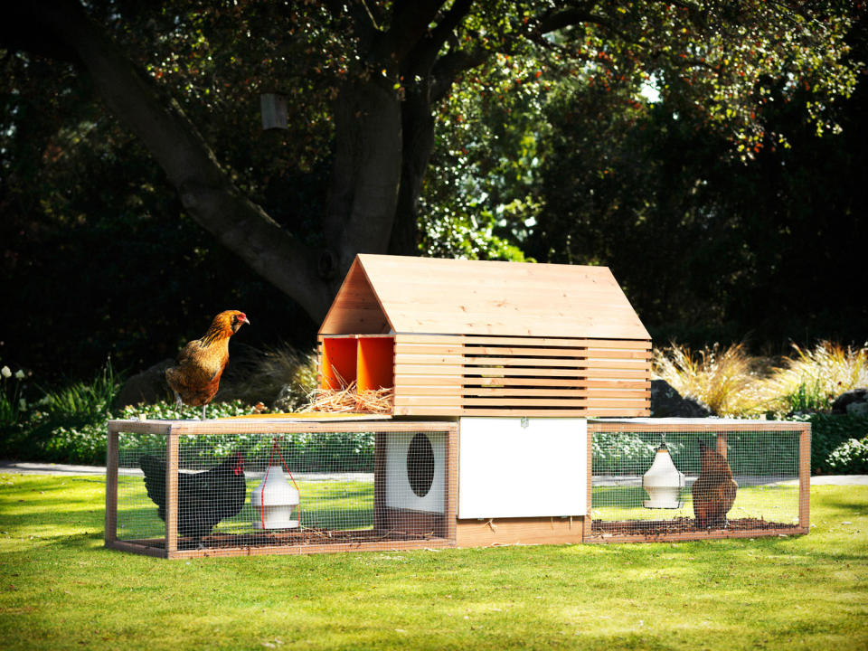 Check out these must-see designs for raising backyard chickens in style