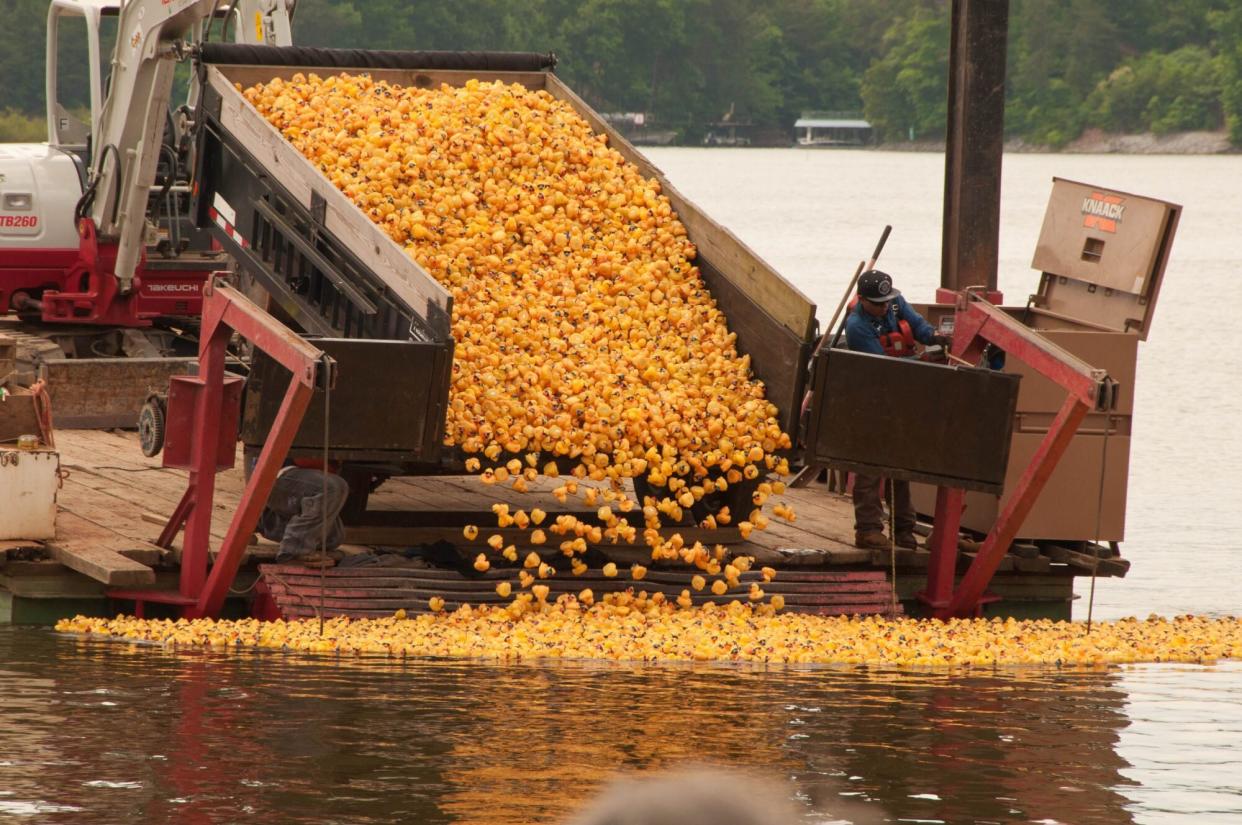 rubber duck derby lake lanier