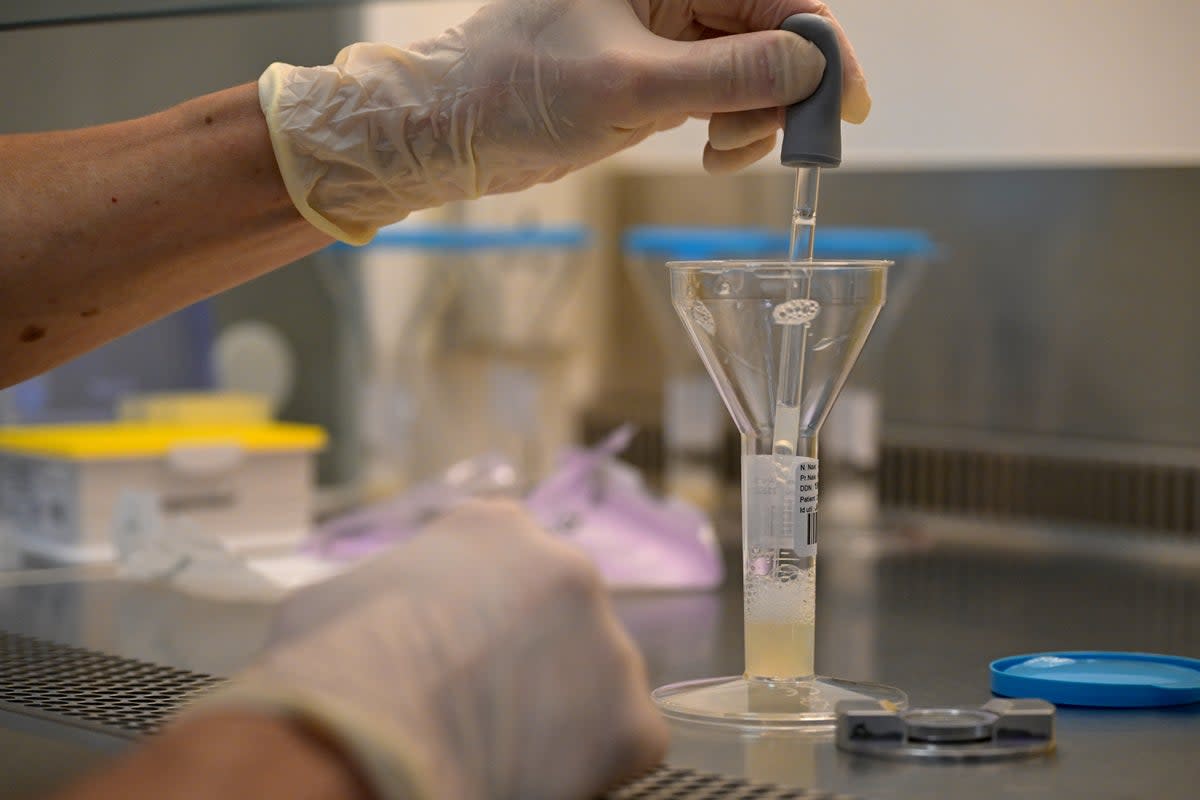 File: A laboratory assistant homogenises sperm in order to produce a spermogram at the Centre for the Study and Conservation of Human Eggs and Sperm (AFP via Getty Images)