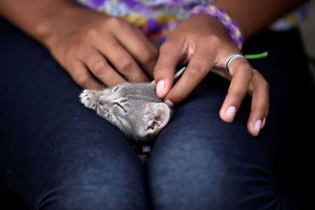 A Honduran migrant teenager pets a cat at the Senda de Vida migrant shelter in Reynosa, in Tamaulipas state, Mexico June 22, 2018. REUTERS/Daniel Becerril