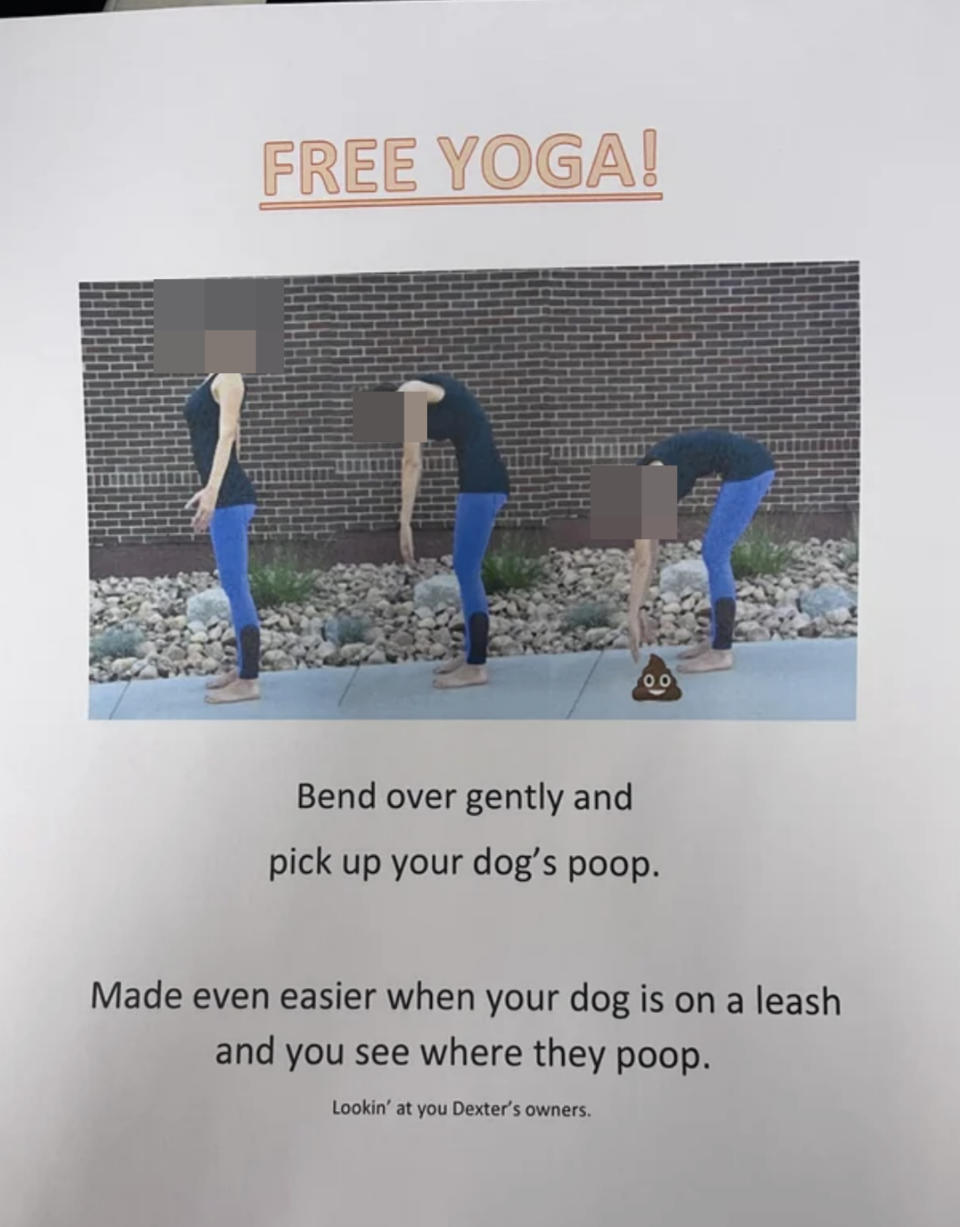 "Bend over gently and pick up your dog's poop."