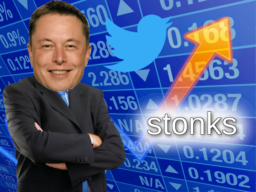 elon musk stonks