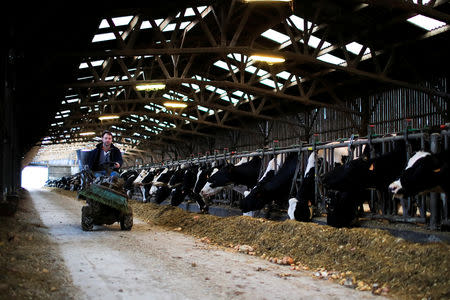 Victor Breant, one of the owners of French non-pasteurizer Camembert cheese farm ''Le 5 Freres de Bermonville", works at the farm in Bermonville northwestern France March 12, 2019. REUTERS/Gonzalo Fuentes