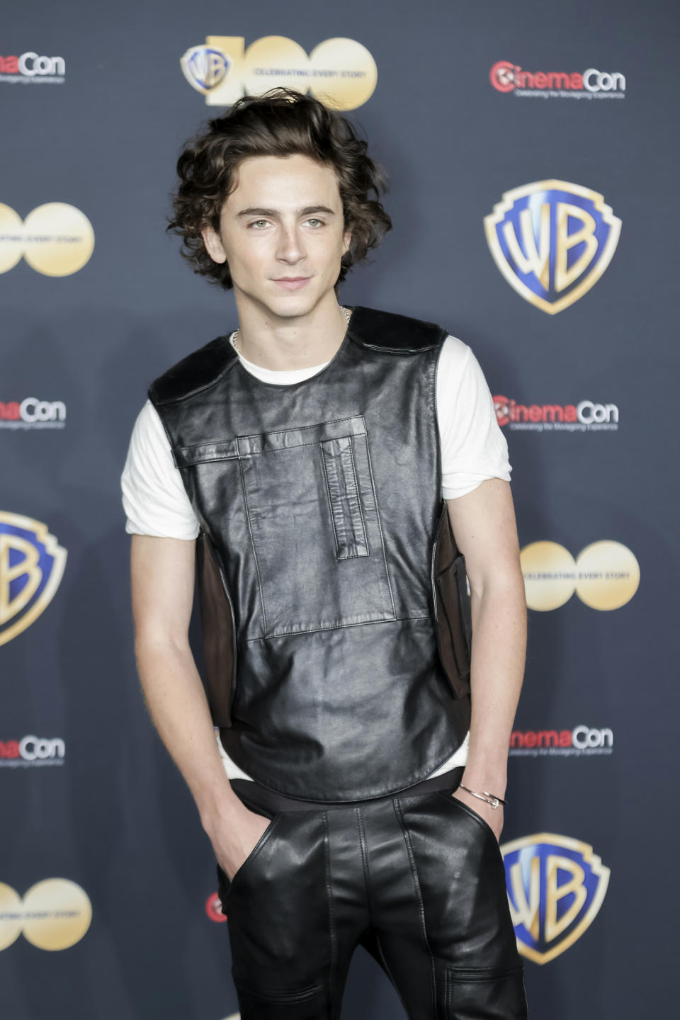 Timothee Chalamet Auditioned for ‘Spider-Man: Homecoming’