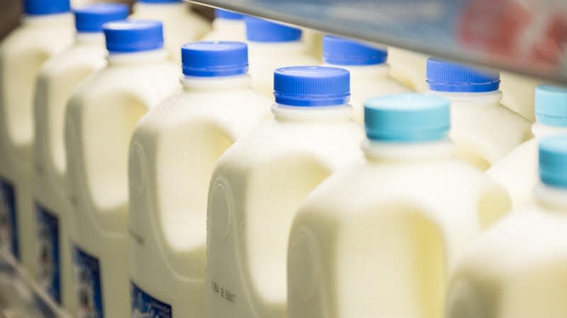 Milk being sold at a retail store. - Photo: Amnixia (Shutterstock)