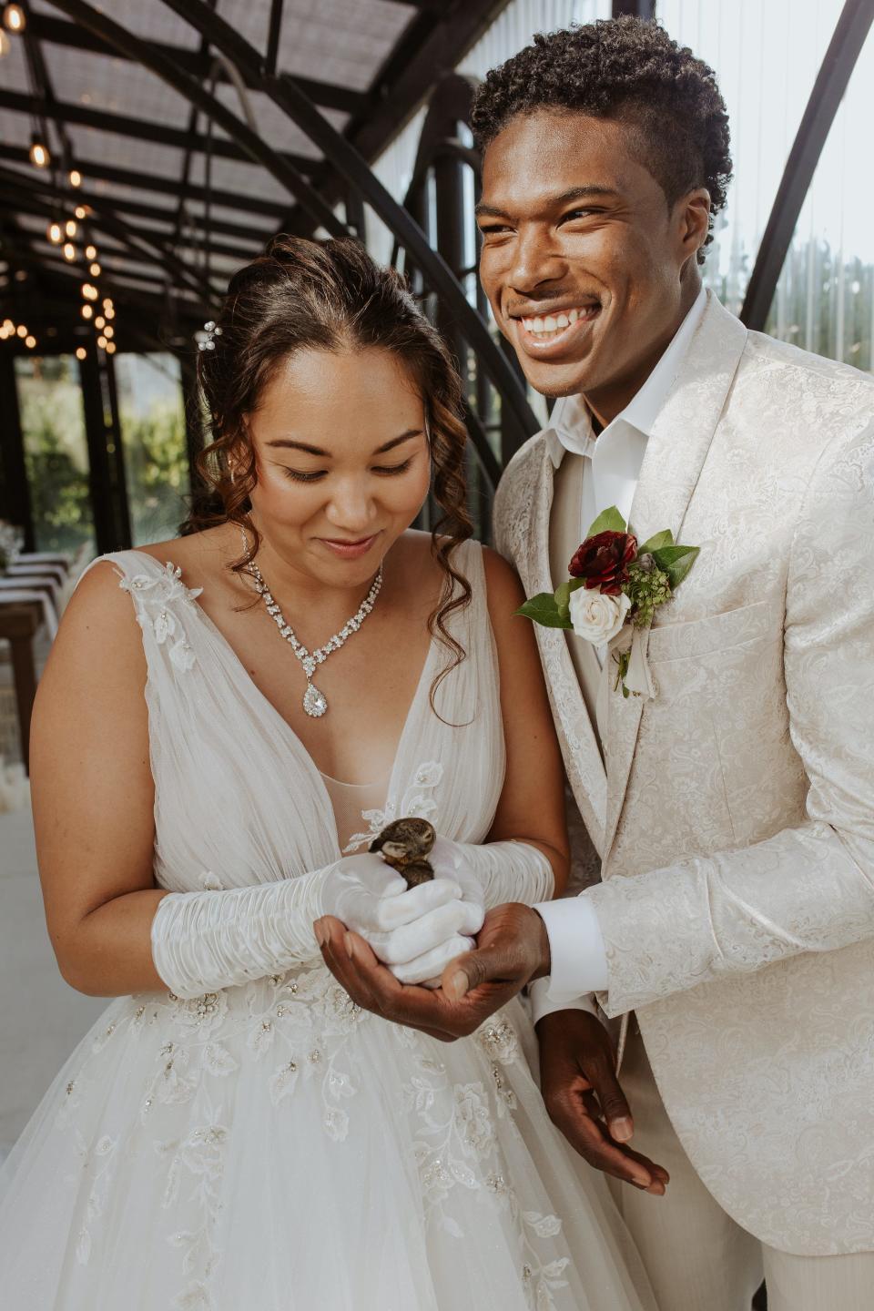 A bride and groom hold a baby bunny.