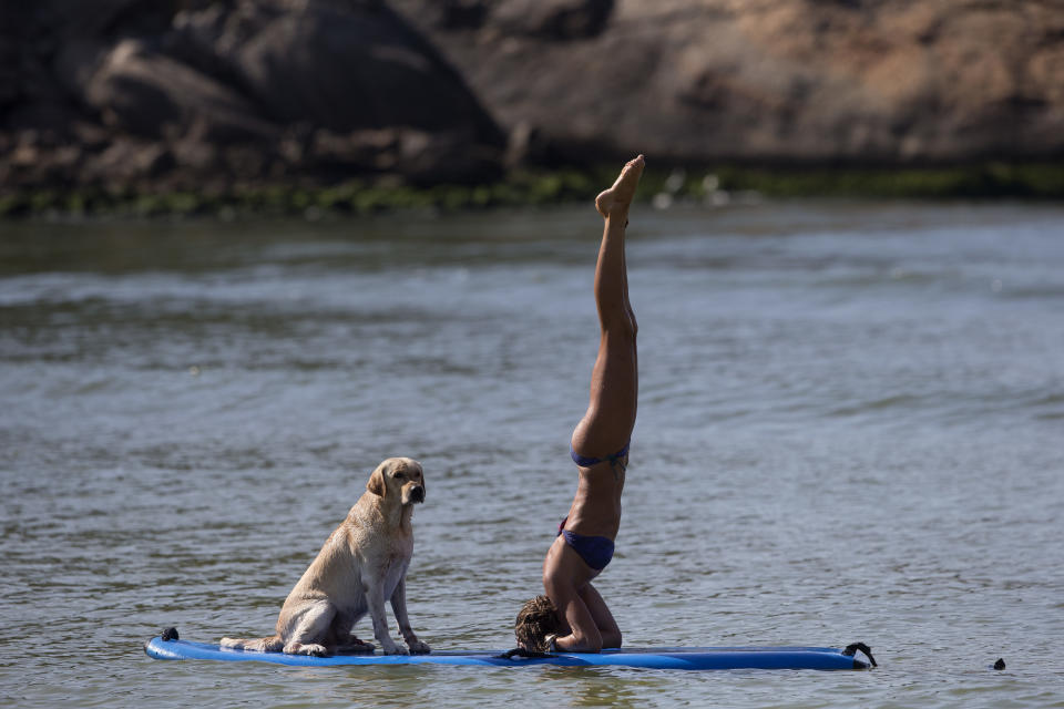 Cecilia Canetti practices yoga on a stand-up paddle board as her dog Polo accompanies her off Barra de Tijuca beach in Rio de Janeiro, Brazil, Thursday, Jan. 16, 2014. Canetti is training her dog to accompany her as she stand-up paddle surfs, along with other paddle surfing dog owners preparing for an upcoming competition of paddle surfers who compete with their dogs. (AP Photo/Silvia Izquierdo)