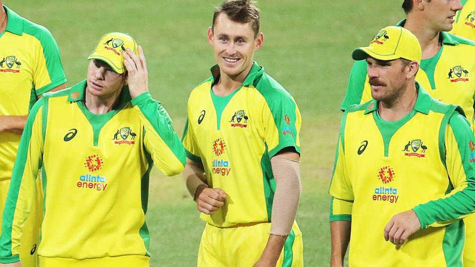 Australian players, pictured here celebrating victory after the second ODI against India.