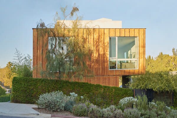 Raw, oiled cedar cladding that will age over time gives the home a warm, textured appearance. The shoestring acacia (at left) provides privacy but still allows for filtered light.