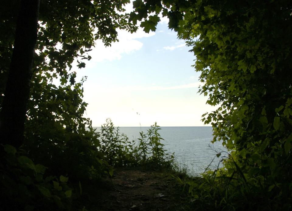 A trail at Erie Bluffs State Park leads to a view of Lake Erie.