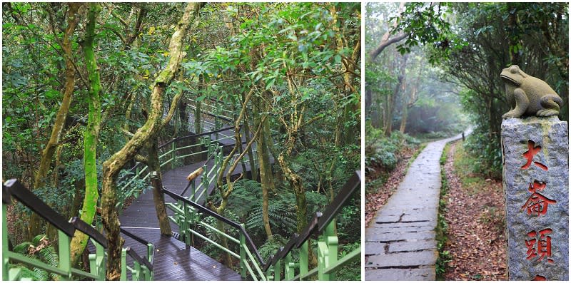 台北｜內湖採草莓，順遊大崙頭山小百岳、白石湖吊橋及碧山巖