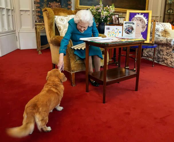 PHOTO: Queen Elizabeth II is joined by one of her dogs, a dorgi called Candy, in the Oak Room at Windsor Castle, Feb. 4, 2022, in Windsor, England. (Steve Parsons/Pool via Getty Images)