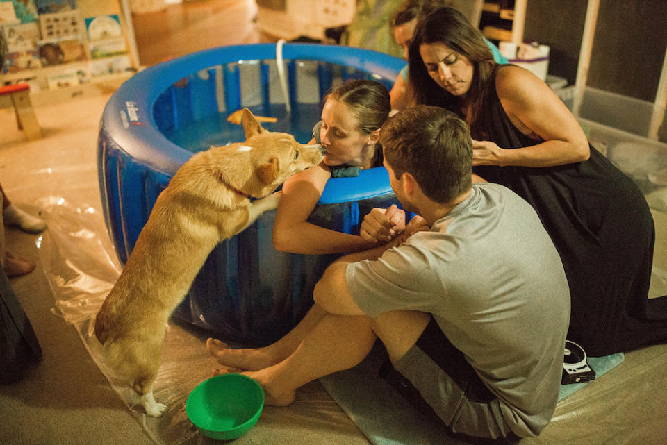 Ranger the Corgi takes a keen interest in his owner Brooke Ellington’s home birth (Picture: Caters)