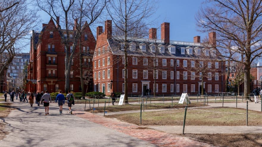 Harvard dictará un curso inspirado en Taylor Swift y sus canciones