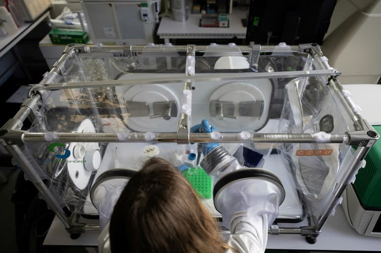Une biologiste prépare des échantillons d'agents pathogènes dans un système de filtration de l'air à la Cellule d'intervention biologique d'urgence (CIBU) de l'Institut Pasteur, le 23 avril 2024 à Paris (ALAIN JOCARD)