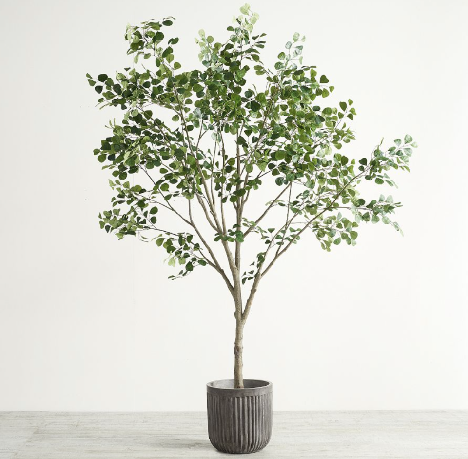 <p><a href="https://go.redirectingat.com?id=74968X1596630&url=https%3A%2F%2Fwww.potterybarn.com%2Fproducts%2Ffaux-shady-lady-olive-tree%2F&sref=https%3A%2F%2Fwww.elledecor.com%2Fdesign-decorate%2Fg60399178%2Fbest-faux-olive-trees%2F" rel="nofollow noopener" target="_blank" data-ylk="slk:Shop Now;elm:context_link;itc:0;sec:content-canvas" class="link ">Shop Now</a></p><p>Faux Shady Lady Olive Tree </p><p>potterybarn.com</p><p>$549.00</p>