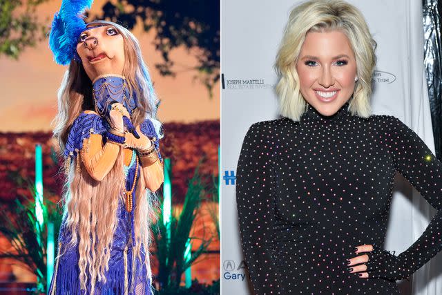 <p>Michael Becker / FOX; Jason Davis/Getty</p> Afghan Hound on The Masked Singer and Savannah Chrisley