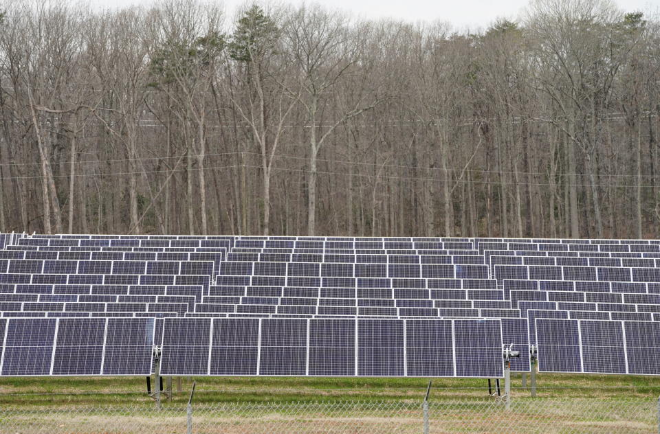 Solar panels facing the sun, with a forest in the background.