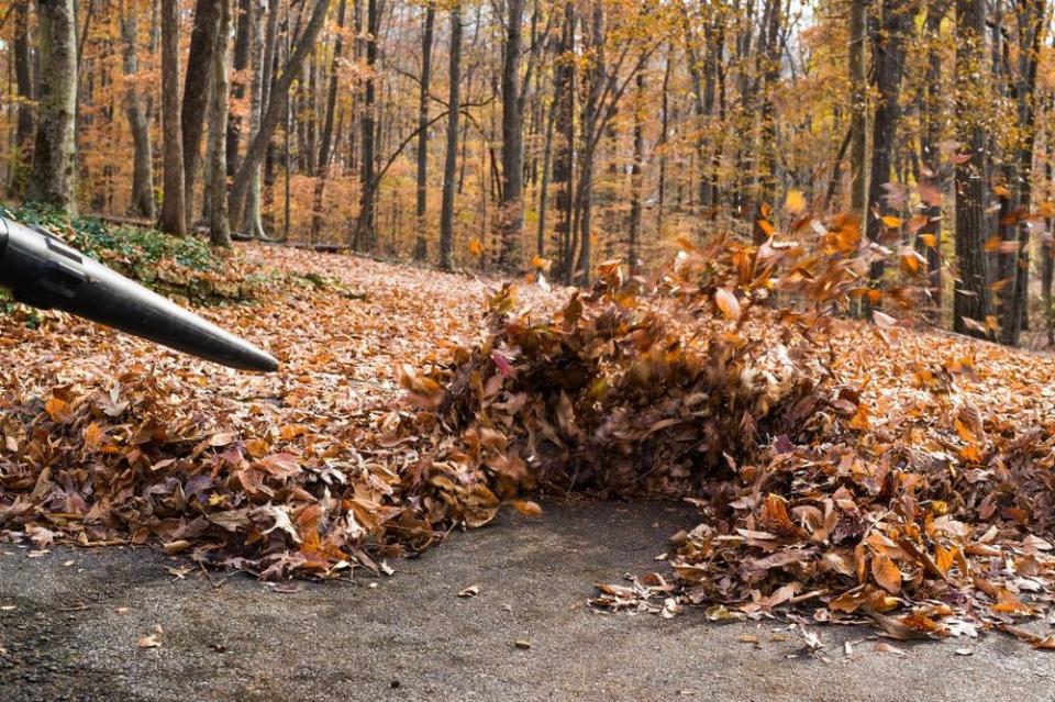 Leaf blower