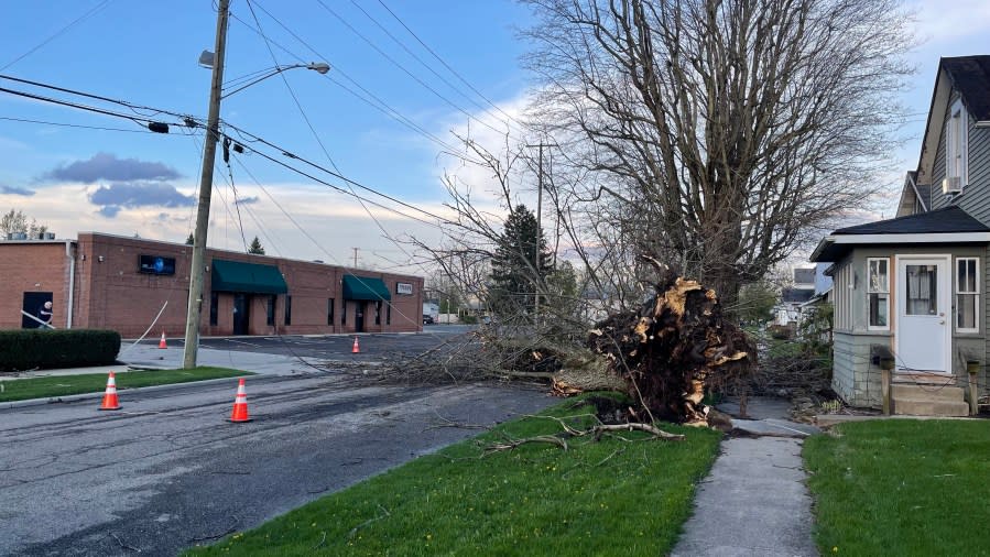 Wednesday's severe storms brought down several trees in Bucyrus, Crawford County. (NBC4)