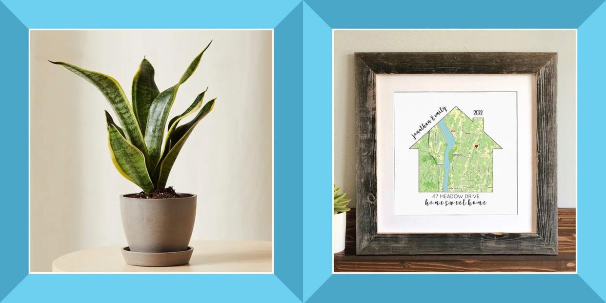 potted snake plant, personalized house map art