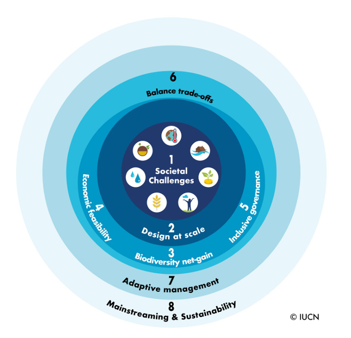 IUCN 2020年出版的《全球自然解決方案標準》。圖片來源：IUCN, Global Standard for Nature-based Solutions