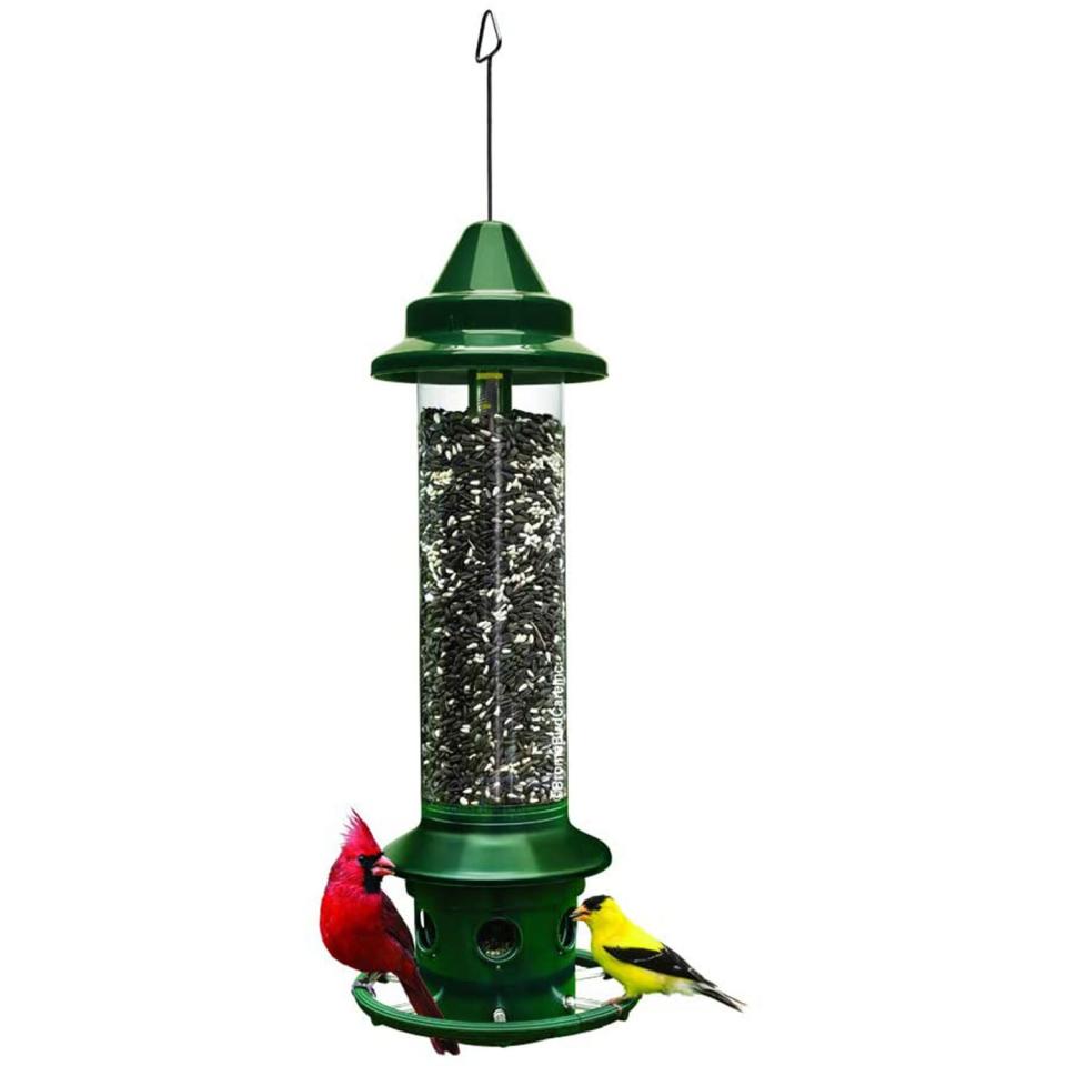 Bird Feeder