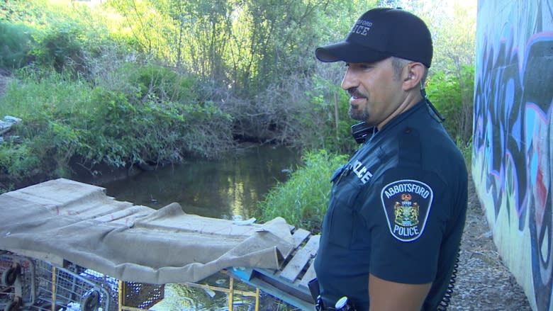 'It's ingenious really': Homeless campers build bridge out of shopping carts