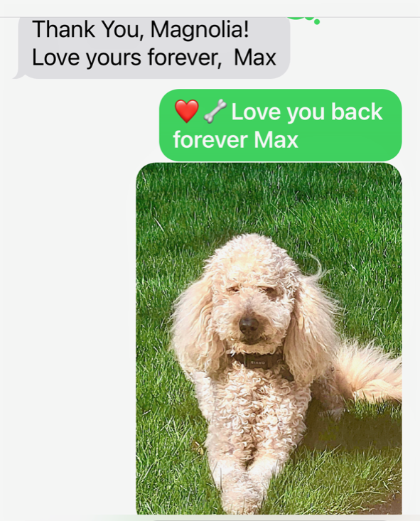 Text messages between Goldendoodle Magnolia and her boyfriend Airedale terrier Maxwell.