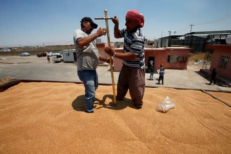 Employees check wheat grain at a silo in Mosul