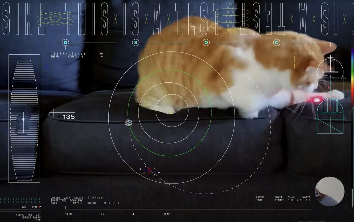 A clip of the video, which shows the cat chasing a laser light on a couch, overlaid with test graphics