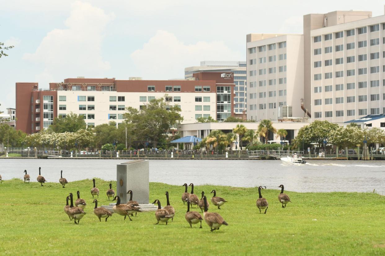 King tides hit the NC coast along the Cape Fear River in downtown Wilmington in July 2022. KEN BLEVINS/STARNEWS FILE