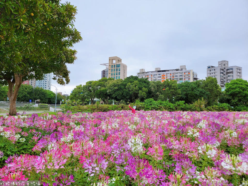 台北｜古亭河濱公園