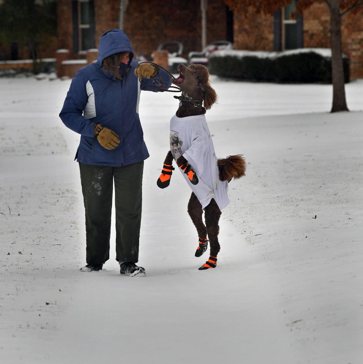 Liz Browning plays with her dog, Joy, during a walk in the snow Thursday morning. Brown says her dog is energetic all the time and the snow makes the standard poodle even more excited.