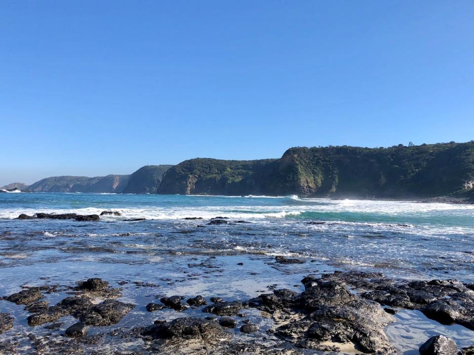 Bushrangers Bay in Flinders is among the prettiest beaches Victoria has to offer (visitmelbourne.com)