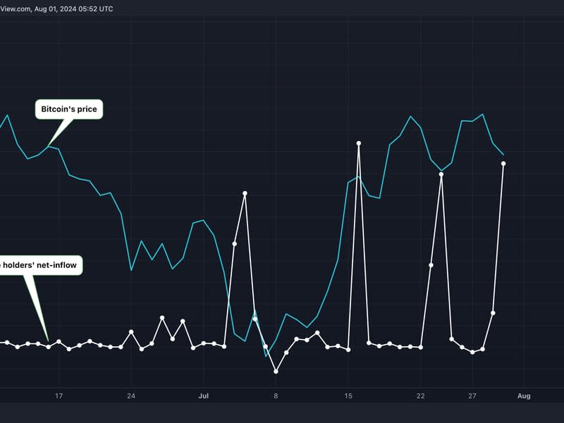 Large holders resorted to strategic accumulation, taking advantage of price dips in July. (IntoTheBlock, TradingView)