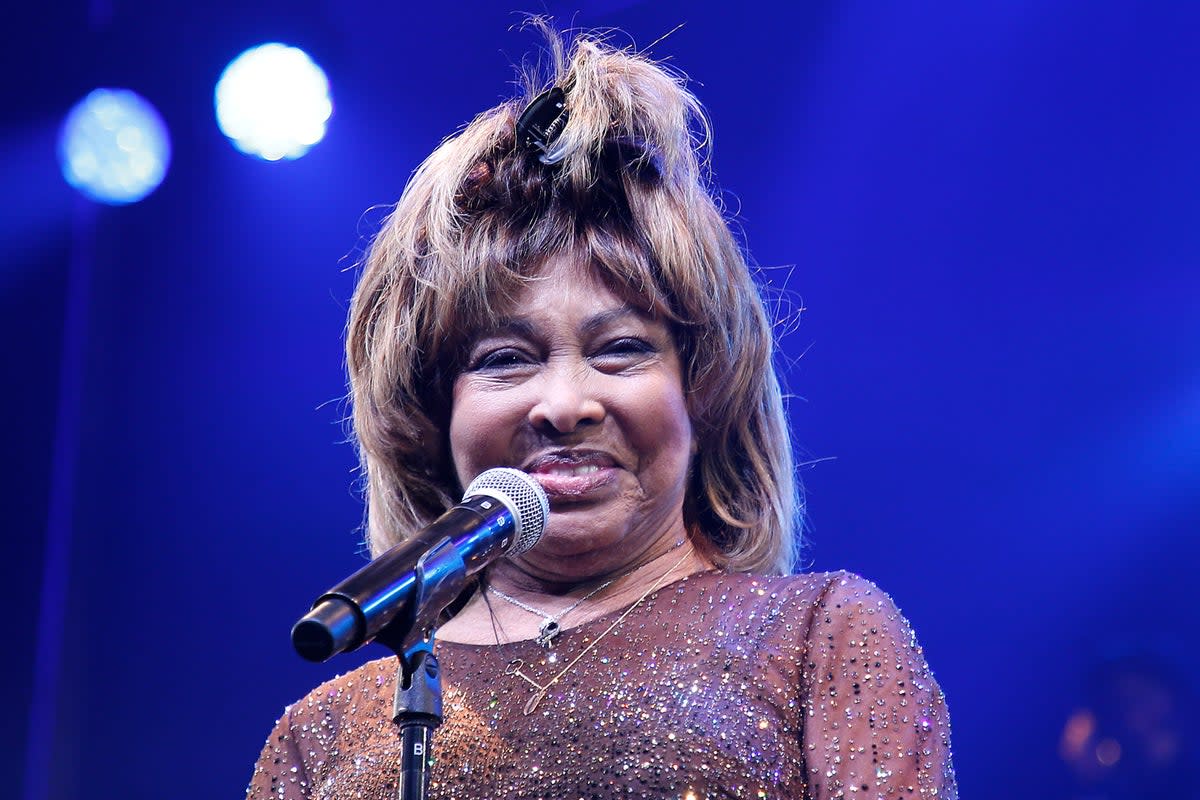 Tina Turner never got to meet her grandchildren or great-grandchildren before her death aged 83, it has been revealed  (Getty Images)