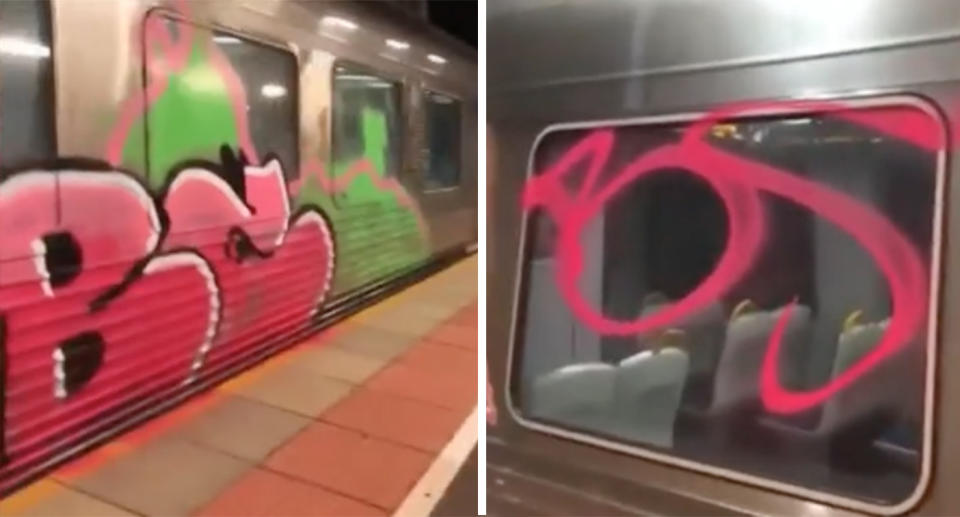 Shocking video shows a graffiti vandalism attack on a train at Gawler, Adelaide.