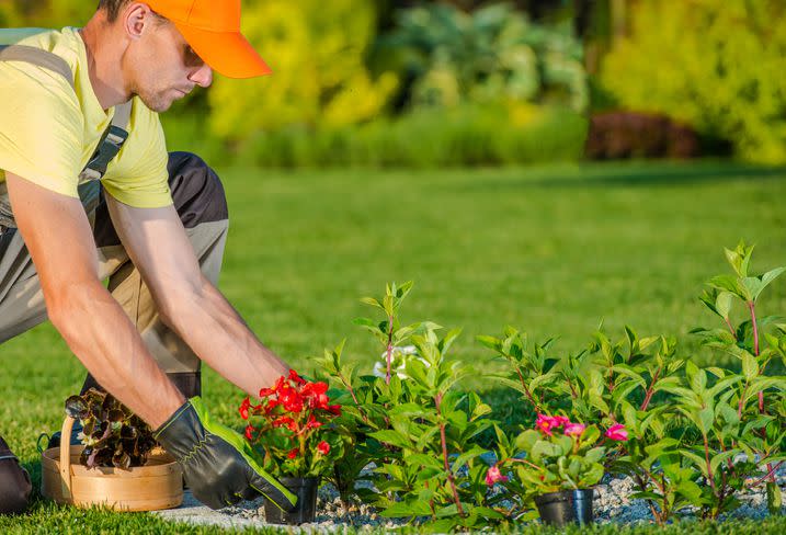 <p>Gardens benefit the environment in many ways, such as capturing carbon, though not everyone has a green thumb. You could start a green business building gardens for homeowners or businesses, including vertical gardens, which have become popular in urban environments since they save space.</p><span class="copyright"> welcomia/istockphoto </span>