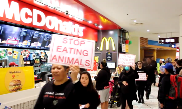 vegan protesters from Direct Action Everywhere demonstrate meat consumption in an Auckland shopping centre